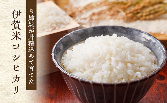 3姉妹が育てたお米　令和7年産　伊賀米コシヒカリ 10kg　3年連続 特A 米 こしひかり ご飯 ごはん 白米 精米 三重県 名張市
