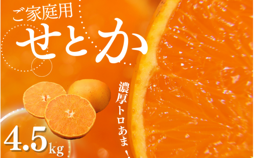 ご家庭用 たにぐち農園のせとか 4.5kg 大小混合【2025年3月から4月上旬までに順次発送】 / 家庭用 ご家庭用 せとか みかん 蜜柑 サイズ 不揃い【mtn012B】
