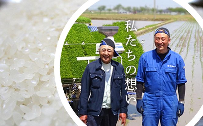 令和7年度産ミルキークイーン白米5kg×3カ月定期 お米 ライス 精米 ブランド米 ご飯 炭水化物 毎食 朝ごはん ランチ 昼ごはん 夜ごはん 食卓 主食 おにぎり 直送 低農薬 