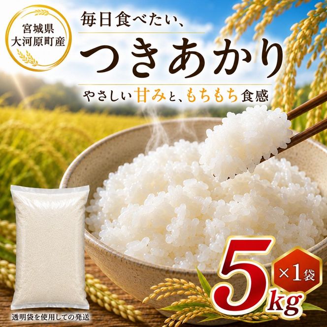 つきあかり 5kg 令和8年産 新米 ブランド米 白米 精米 【小分け】 宮城県大河原町産
