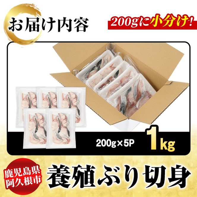 養殖ぶり切身(約1kg) 鹿児島県 阿久根市 ブリ ぶり 鰤 魚貝 魚介 海産物 切身 切り身 煮物 煮つけ 焼き魚 おかず おつまみ 小分け【さるがく水産】akn028-44