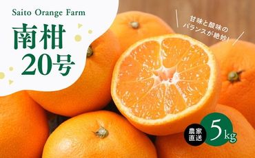 【先行予約】Saito Orange Farmの南柑20号5kg ｜ 温州みかん 代表 柑橘 みかん ミカン フルーツ 果物 愛媛　※離島への配送不可　※2024年12月下旬頃より順次発送予定