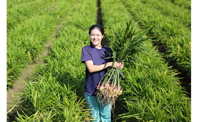 出雲生姜ぽかぽかセット 322032_FW003