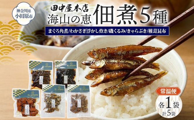 海山の恵 つくだ煮5種セット まぐろ わかさぎ きゃらぶき 椎茸昆布 磯くるみ 各1袋 田中屋本店佃煮 わかめ ご飯のお供 おにぎり お茶漬け 惣菜 おかず 和食 トッピング 老舗 ギフト 贈り物 朝食 弁当 おつまみ 小田原市 神奈川県 142069_JM006