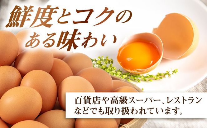 【全3回定期便】【30個×3ヶ月】黄身にコク！白身に甘み！てつやとのりこの玉子 板垣ファーム [AWD006]