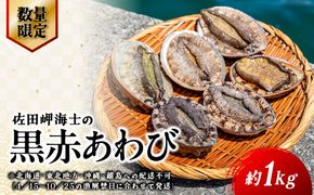 【数量限定】佐田岬海士の黒赤あわび【4/15～10/25の漁解禁日に合わせて発送】※北海道・東北地方・沖縄・離島への配送不可 IKTJ014