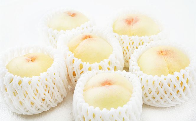 桃 定期便 2026年 先行予約 晴れの国 岡山 の 白桃 ×2回 お届け 1回目 白桃 6玉（1玉250g以上）／2回目 白桃 6玉（1玉300g以上） 化粧箱入り もも モモ 岡山産 国産 フルーツ 果物 ギフト