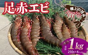 030D229 足赤エビ 1kg【国産 えび 天然 ぷりぷり 海鮮 水揚げ 生食可】