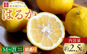 訳あり はるか 2.5kg M～2Lサイズおまかせ 高石垣ファーム   K018