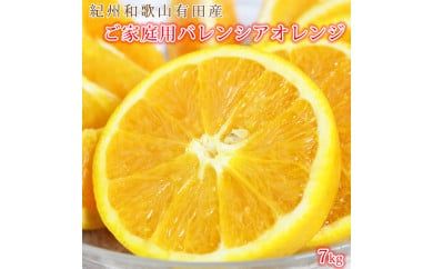 【ご家庭用訳あり】希少な国産バレンシアオレンジ 7kg