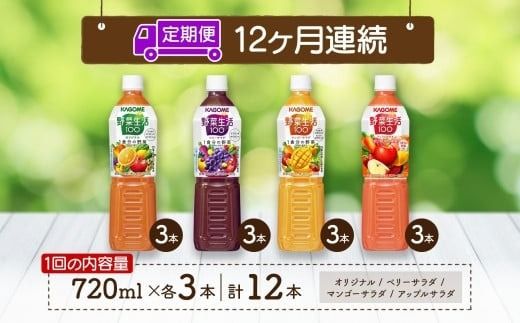 ns038-035　定期便 12ヵ月連続 カゴメ 野菜生活100 飲み比べセット スマートPET 720ml  4種 計12本 オリジナル ベリーサラダ マンゴーサラダ アップルサラダ 野菜 果実 ミックスジュース 野菜ジュース フルーツジュース フルーツ 飲料 KAGOME 送料無料 那須塩原市