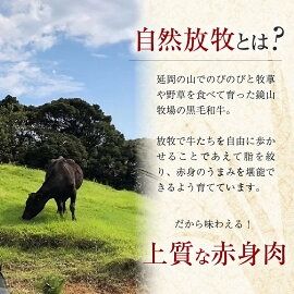 八崎牛の熟成サーロインステーキ200g×2枚 N0105-YB822