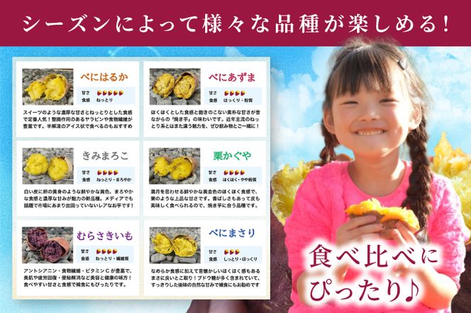 冷凍焼き芋 『Sea Sweet』 2.5kg 品種おまかせ詰め合わせ  3～5種類 詰合せ【 紅はるか / きみまろこ / 紫いも / 紅まさり / 紅あずま / 栗かぐや 】 真空パック 個包装 冷凍 焼き芋 さつまいも やきいも スイーツ 産地直送