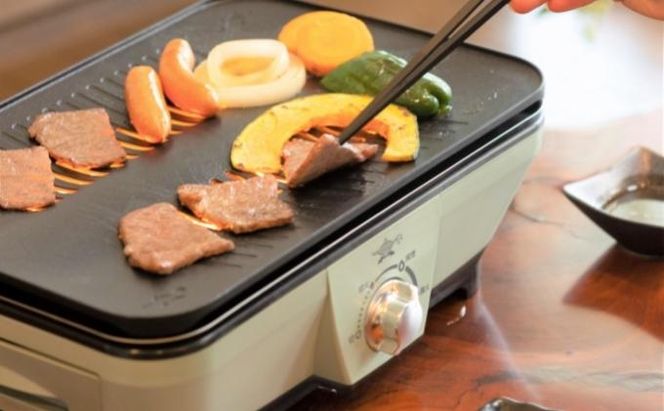 アラジン グラファイトミニグリラー グリーン 緑   播州百日どり 冷凍 もも肉 むね肉 セット 1.2kg CAG-MG7AG 卓上調理器 グリル 鶏肉 お肉 肉 キッチン家電 家電 日用品 加西市 × 多可町 調理器具 おうち焼肉 