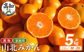 山北みかん（露地） 5.0kg 家庭用 sq-0003