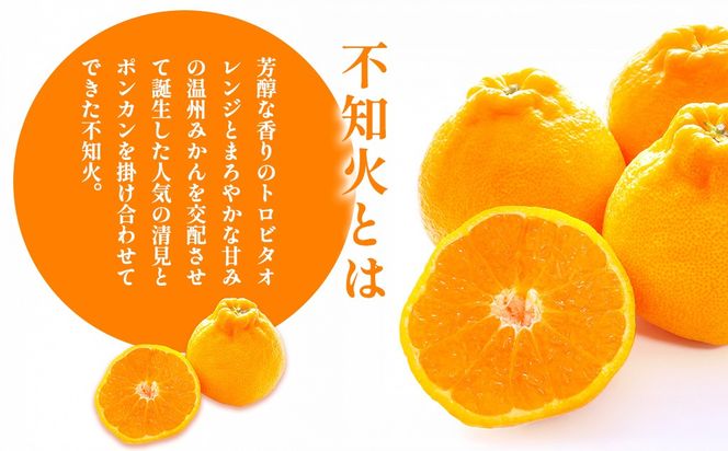 【先行予約】【家庭用】不知火 計5kg ※離島への配送不可（2027年2月中旬頃より順次発送予定）IKTAC029