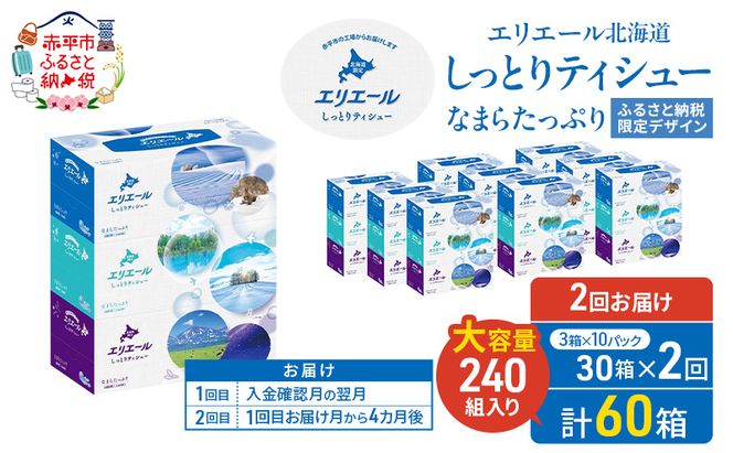 【2回お届け 計60箱】エリエール 北海道 しっとりティシュー なまらたっぷり 240組3箱 10パック ふるさと納税限定デザイン ボックスティシュー 箱ティッシュ ペーパー 備蓄品 花粉 保湿成分 グリセリン配合