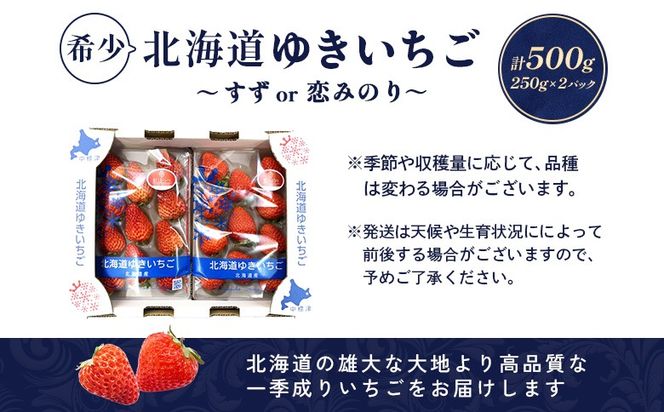 【2027年１月以降発送！】【北海道産】ゆきいちご（すずor恋みのり） ２Pセット 各250g×２ 計500g | 苺 いちご 一季成りイチゴ 希少 ギフト お取り寄せ ふるさと納税 北海道 中標津【5900502】