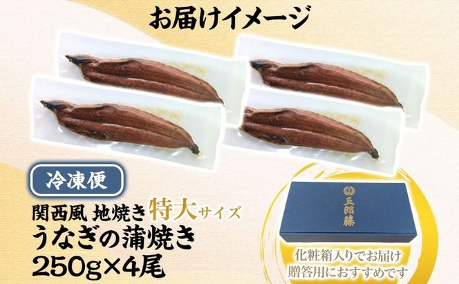 099H4345 【贈答用】国産有頭旨鰻 250g×4尾 特大サイズ【関西風地焼き 老舗 五郎藤 うなぎ 1kg 小分け unagi ひつまぶし 簡単調理】