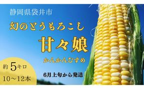 【先行予約】数量限定！リピーター続出！！とうもろこし★甘々娘★ おすすめ コーン トウモロコシ かんかんむすめ 採れたて 新鮮 野菜 健康 ヘルシー 人気 厳選 袋井市 フルーツコーン 静岡県