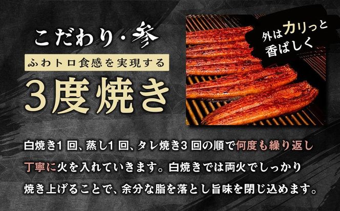 【有田川町×湯浅町】うなぎ蒲焼2本＆角長特製蒲焼タレ1本セット Y007