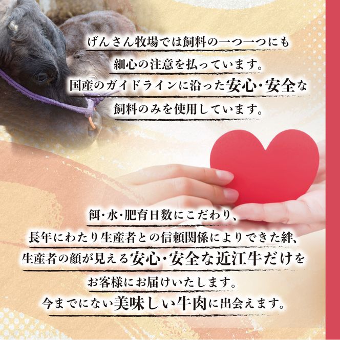 【げんさん】近江牛A5ランクサイコロステーキ【400g】【DG06W】