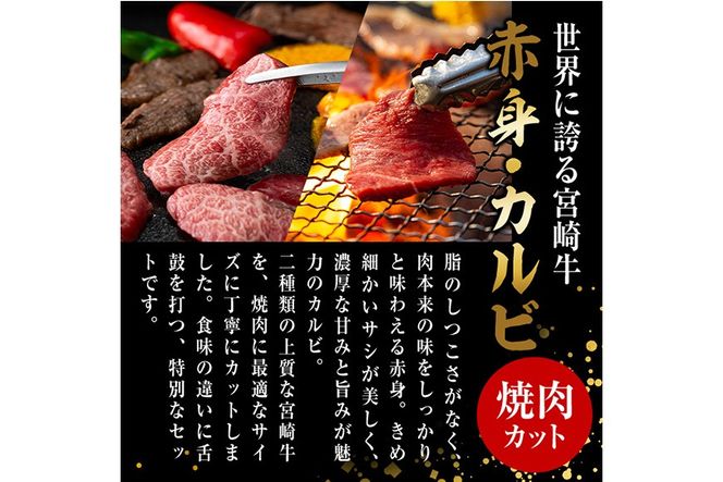 宮崎牛 赤身＆カルビカット 焼肉 (合計500g・250g×2) 焼肉 お肉 牛肉 黒毛和牛 宮崎牛 ブランド和牛 冷凍 国産 カルビ 赤身 宮崎県産 【YM-41】【YAMATO株式会社】