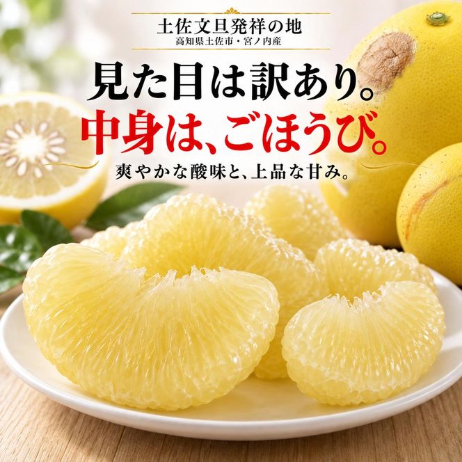 土佐文旦 訳あり 5kg 家庭用 サイズおまかせ M～4L 日本ギフト大賞受賞 文旦発祥の地 園主こだわり 規格外 不揃い 大玉 小玉 高知県土佐市産 高知県産 国産 5キロ ぶんたん みかん 柑橘類 高級フルーツ 果物 わけあり 産地直送 お取り寄せ 先行予約 やの一果彩[BQAC023]