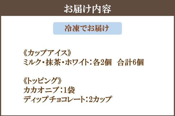 【B5-049】カカオ研究所 アイスチョコレートセット(6個入り)