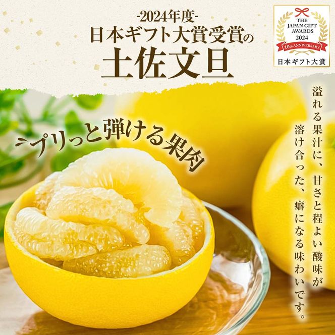 【日本ギフト大賞2024受賞】【先行予約】 園主こだわりの土佐文旦 5kg 小玉（L～Mサイズ） 2027年1月下旬より順次発送 家庭用 贈答用 ぶんたん ブンタン【やの一果彩】 [BQAC017]
