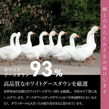 羽毛布団 【訳あり】甲州羽毛ふとん　二層式本掛けふとんホワイトグースダウン93%（ダブル/お任せ柄） ダブル 寝具 本掛け布団 羽毛布団 掛け布団 ふとん 回収キット付き 山梨 富士吉田