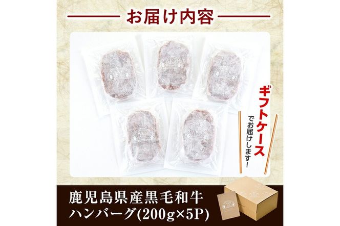 a750 鹿児島県産黒毛和牛ハンバーグセット(200g×5パック)【AKR Food Company】姶良市 国産 牛肉100% 冷凍 小分け