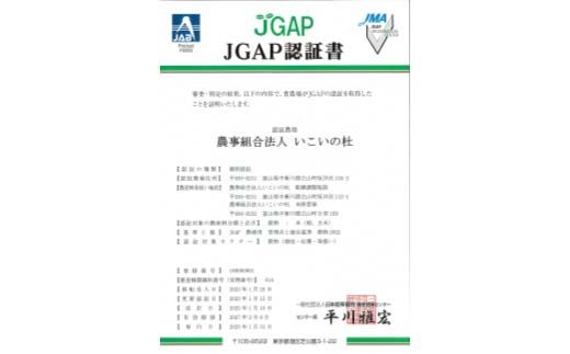 《数量限定》令和7年度産 富富富 玄米 10kg 米 お米 新米 ごはん おにぎり 富山 立山 北アルプス 健康志向 JGAP認定 F6T-847