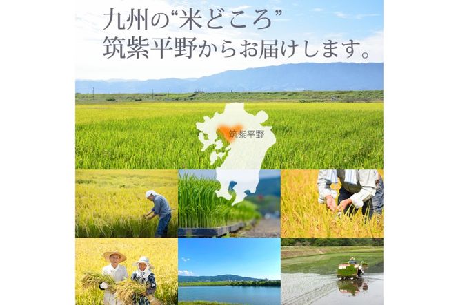 米 令和7年 玄米 元気つくし 5kg 2袋 計 10kg [ベネフィス 福岡県 宇美町 um40azp190012] 令和7年産 お米 ご飯 コメ ごはん