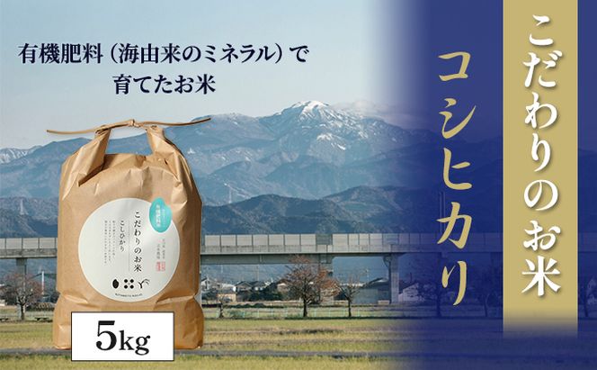 【4カ月連続でお届け】北本農場 「こだわりのお米」 令和7年度産　精米 5kg 