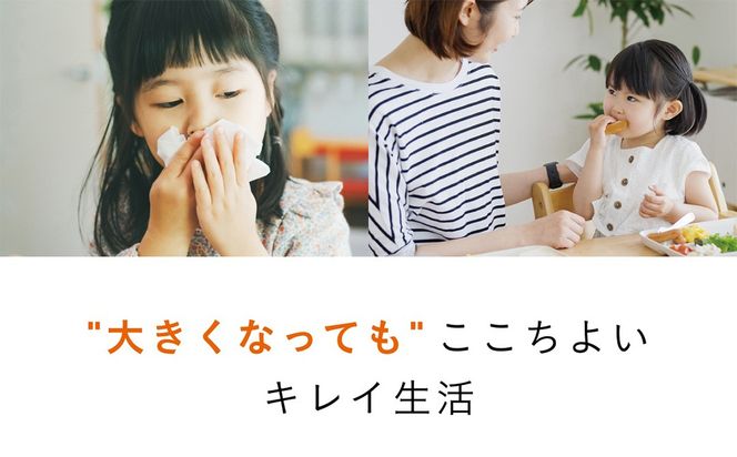＼選べるカラー／【コンビ】クイックウォーマー (ベージュ / グレージュ) 118929119947 おしりふきあたため器 クイックウォーマー おしりふき 適温 あたため コンパクト設計 赤ちゃん 赤ちゃんグッズ ベビー用品 ベビーグッズ 新生児