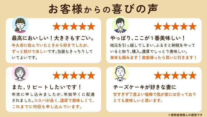 濃厚 ！ ベイクドチーズケーキ （ 冷凍 ） ホールケーキ チーズケーキ 冷凍ケーキ クリームチーズ 濃厚 甘い おいしい 美味しい スイーツ おうちカフェ お菓子 おやつ お取り寄せ お土産 贈り物 お祝い 誕生日 プレゼント ギフト パーティー 国産 茨城 [AF002us]