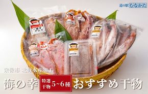 北野水産加工おすすめ干物詰合せ【道の駅むなかた】_HA1819