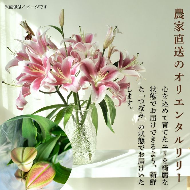 定期便6回 ユリ オリエンタルリリー 7本 花 切り花 プレゼント 贈り物 ギフト 誕生日 記念日 つぼみ 大輪 ピンク 白 香り 優雅 華麗 ブーケ フラワーアレンジメント 観賞用 インテリア 季節の花 高級感 花束 生花 福田園芸 オリエンタルハイブリッド 安芸市 高知県