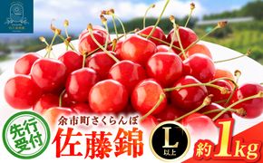 【先行予約2026年7月上旬より発送】余市の砂川果樹園が贈る もぎたて直送さくらんぼ 佐藤錦 1kg箱_Y033-0038