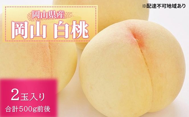 桃 2026年 先行予約 白桃 2玉入り 合計500g前後 岡山県産もも モモ 岡山県産 国産 フルーツ 果物 ギフト