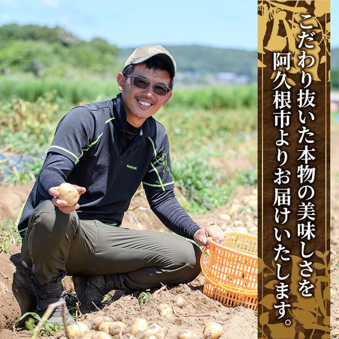 ＜先行予約受付中！2026年12月以降順次発送予定＞じゃがいも ニシユタカ(5kg) 国産 鹿児島県産 阿久根市産 じゃがいも ジャガイモ 芋 ポテト にしゆたか 野菜 期間限定 数量限定 ポテトサラダ コロッケ 常温 常温配送 【慶越農園】akn107-09