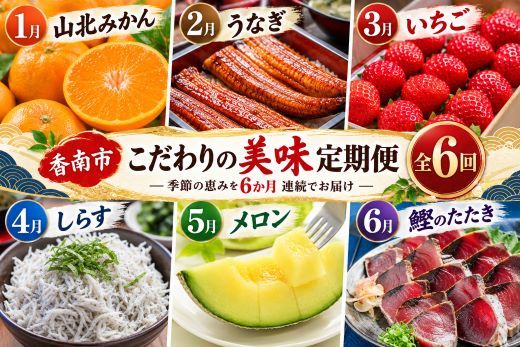 贅沢 定期便 海の幸 魚介類 全6回 6ヶ月 6か月 おかず ご飯のお供 冷凍 人気 セット お楽しみ うなぎ 蒲焼 鰻 国産 山北みかん いちご めろん 青肉 柑橘系 甘い 苺 蜜柑 果物 セット 詰め合わせ 人気 旬 国産 新鮮 国産 釜揚げ 天使の宝石 しらす丼 じゃこ 藁焼き 訳あり 土佐 刺身 本場 フルーツ かつおのたたき 鰹のタタキ Wky-18
