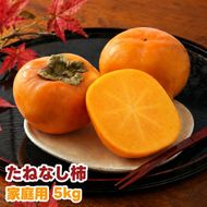 たねなし柿 5kg 家庭用 / 柿 刀根早生 平核無柿 富有柿 ※2026年9月下旬から11月上旬に順次発送 ※北海道・沖縄・離島への配送不可  【ikd504-c-5】