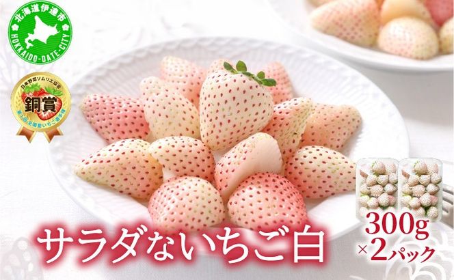 ＜2026年先行予約＞ サラダないちご（白）【ecg-001】