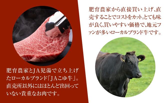 JAこゆ牛 特選木城産 赤身(もも・ウデ)600ｇ 焼肉用 K56_0007