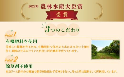 【先行予約】見た目だけが訳あり！吉本農園の木取り完熟愛南ゴールド（河内晩柑）約5kg＜柑橘 希少 果物 国産 フルーツ みかん 蜜柑 訳あり 家庭用 和製 グレープフルーツ ブランド 果実 ビタミン 愛媛県 鬼北町 ＞ ※2025年4月上旬～8月上旬頃に順次発送予定