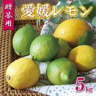贈答用 愛媛 レモン 5kg 10000円 柑橘 檸檬 国産 れもん フルーツ 果物 果実 産地直送 農家直送 数量限定 期間限定 特産品 瀬戸内 ワックス 防腐剤 不使用 果汁 人気 新鮮 レモネード 塩レモン レモン酢 レモンソース はちみつレモン レモンケーキ レモンスカッシュ レモンサワー レモン酎ハイ 等に ビタミン ギフト プレゼント 贈り物 前田ファーム 愛南町 愛媛県