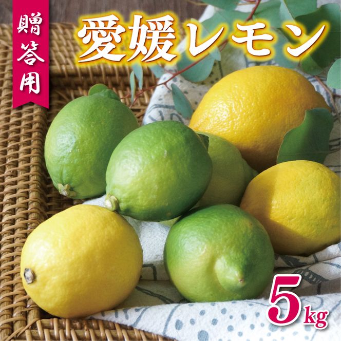 贈答用 愛媛 レモン 5kg 10000円 柑橘 檸檬 国産 れもん フルーツ 果物 果実 産地直送 農家直送 数量限定 期間限定 特産品 瀬戸内 ワックス 防腐剤 不使用 果汁 人気 新鮮 レモネード 塩レモン レモン酢 レモンソース はちみつレモン レモンケーキ レモンスカッシュ レモンサワー レモン酎ハイ 等に ビタミン ギフト プレゼント 贈り物 前田ファーム 愛南町 愛媛県