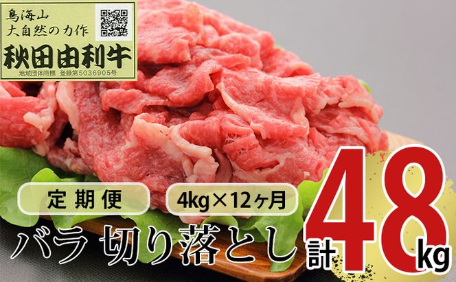 《定期便》12ヶ月連続 秋田由利牛 バラ切り落とし 4kg（1kg×4パック）